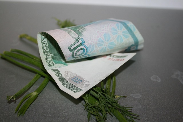 Free Money Rubles photo and picture