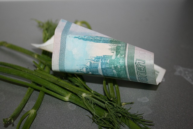 Free Money Rubles photo and picture