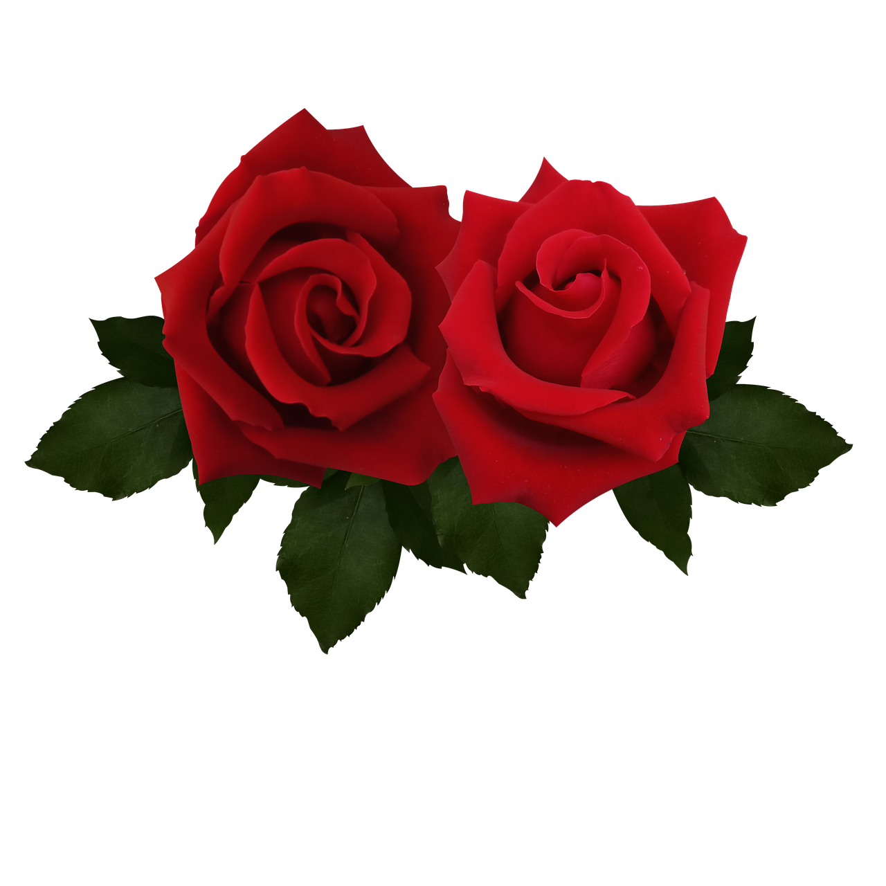 Discover and download free images pixabay