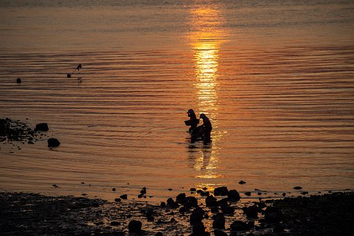 Free Sunset Sea photo and picture