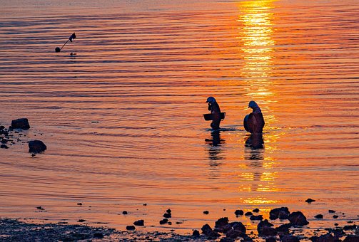 Free Sunset Sea photo and picture