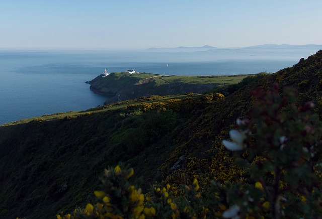 Free Lighthouse Cliff photo and picture