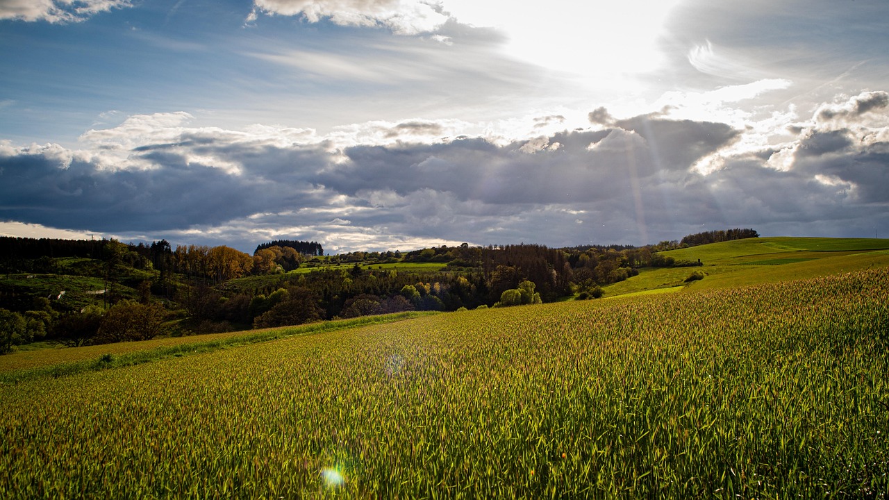 Image Colline Colline Sur Le Terrain Paysage - Photo gratuite sur Pixabay - Pixabay
