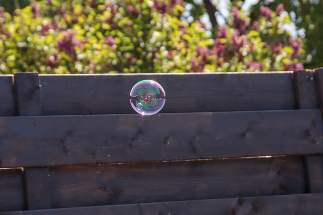 Free Soap Bubble Hover photo and picture