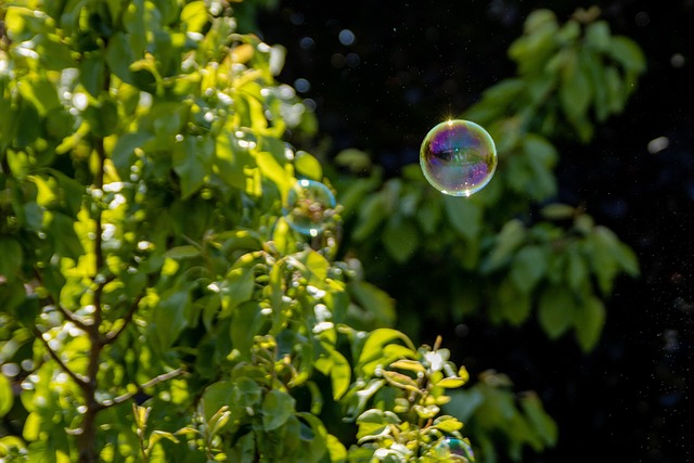 Free Soap Bubble To Play photo and picture