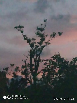 Free Evening Sky photo and picture