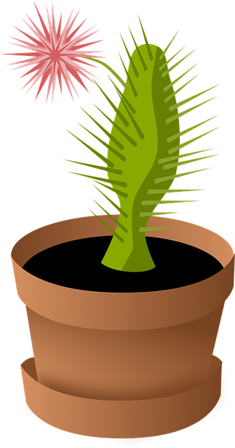 Free Cactus Flower vector and picture
