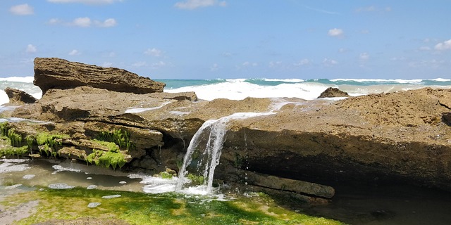 Free Beach Coast photo and picture