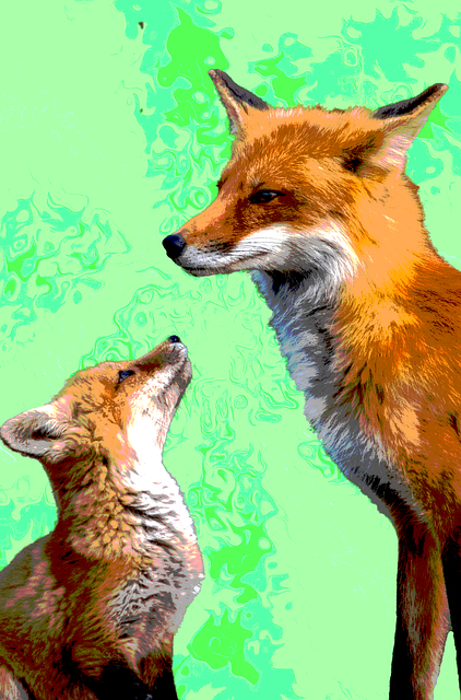 Free Foxes Vixen illustration and picture