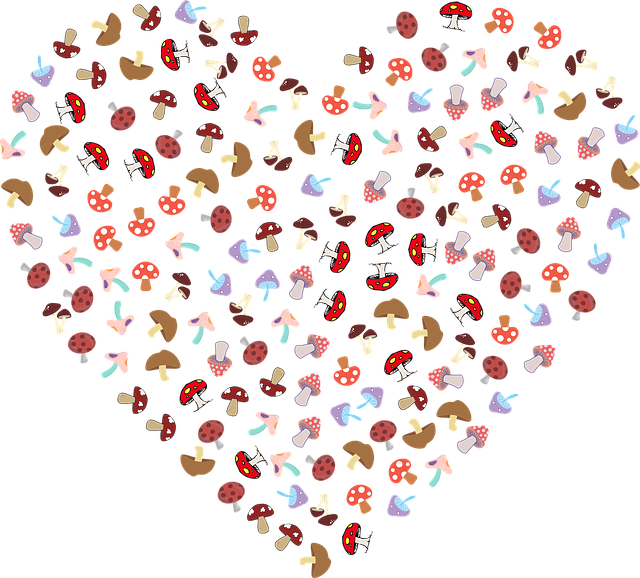 Free mushrooms fungus heart illustration