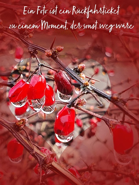 Free Heart Waterdrop photo and picture