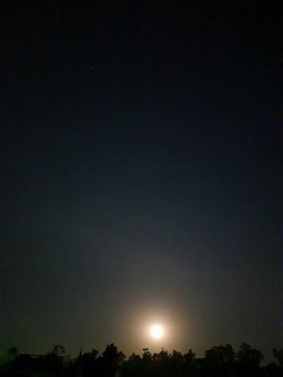 Free Moon Night photo and picture