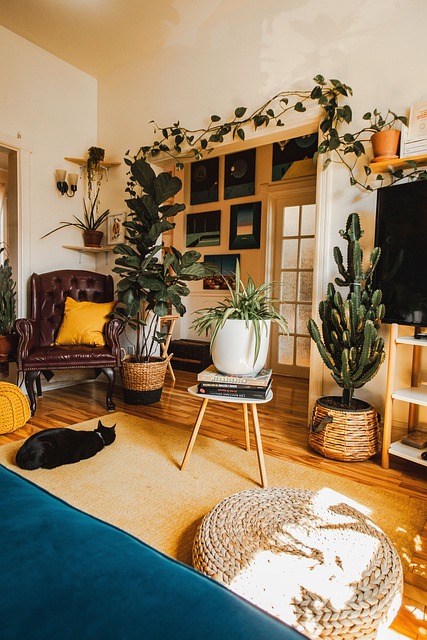 Free Living Room Lounge photo and picture