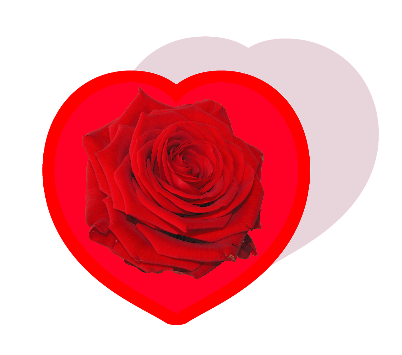 Download Heart, Rose, Love. RoyaltyFree Stock Illustration Image Pixabay