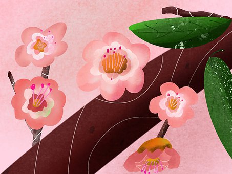 Blomst, Blomsterhage, Natur, Bloom