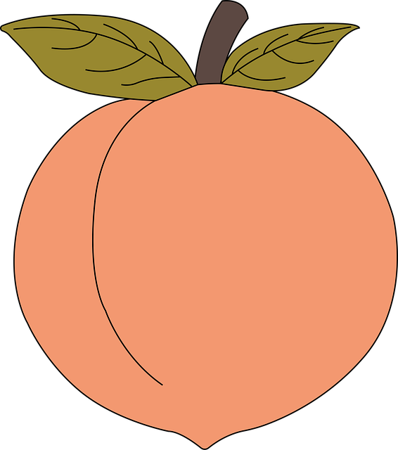 Download Peach, Fruit, Vitamins. RoyaltyFree Vector Graphic Pixabay
