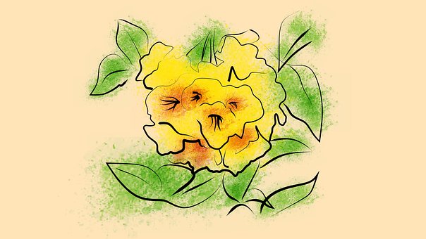 Bloem, Lijn Kunst, Mooie, Geel
