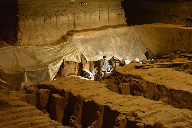 Free Archaeologists Restoration photo and picture
