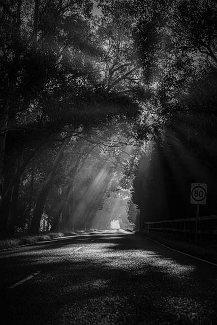 Free Road Moring photo and picture