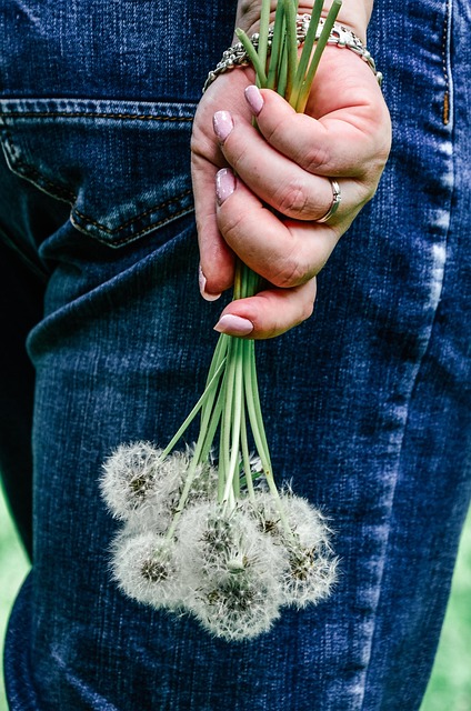 Paardebloemen, Bloemen, Boeket