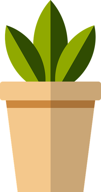 Potteplante, Botanik, Havearbejde, Natur