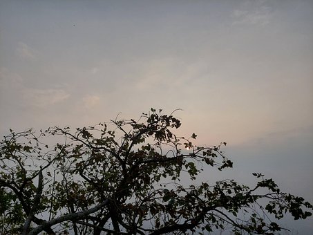 Free Morning Sunrise photo and picture