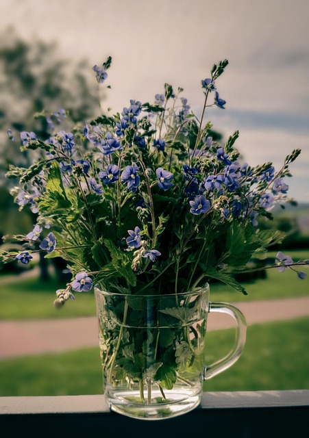Free Flowers Bouquet photo and picture
