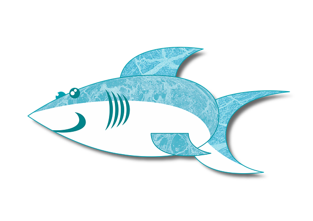 Hai, Haifisch, Tauchen, Wasser