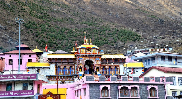 Free Shiva Badrinath photo and picture