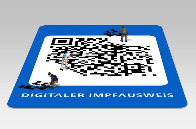 Registro De Vacinação Digital, Qr Code