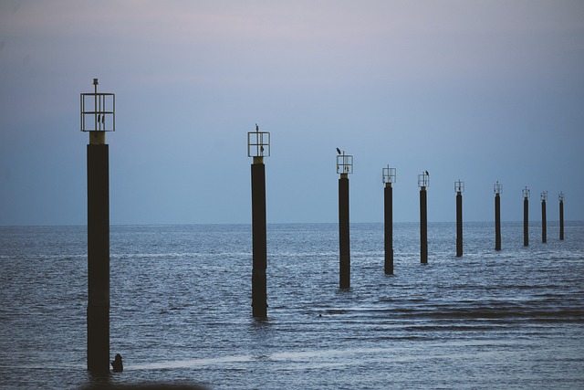 Free Sea Beach photo and picture