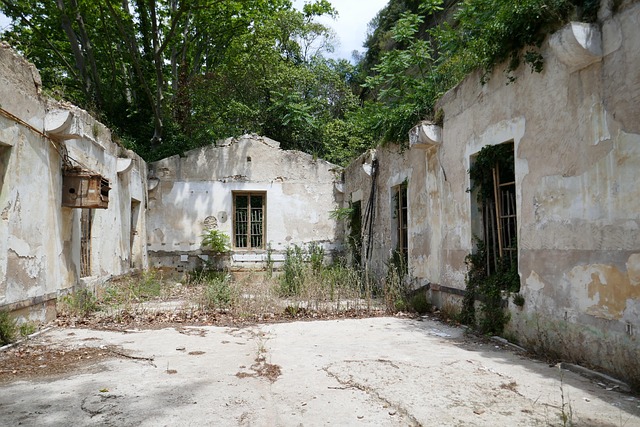 Free Ruin House photo and picture