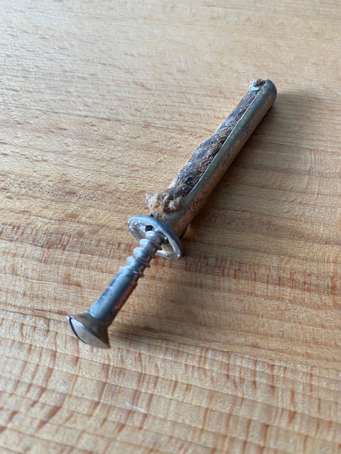 Free Screw Dowel photo and picture