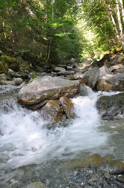 Free Bach Stones photo and picture