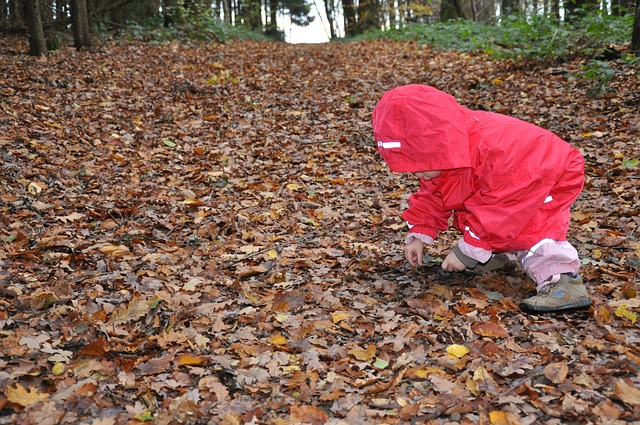 Free Small Child Forest photo and picture
