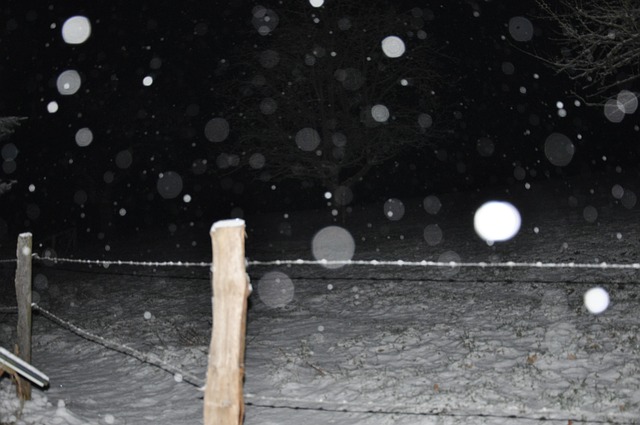 Free Snow Darkness photo and picture