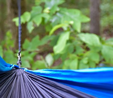 Free Hammock Leaves photo and picture