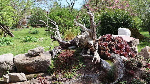 Free Garden Quiet photo and picture