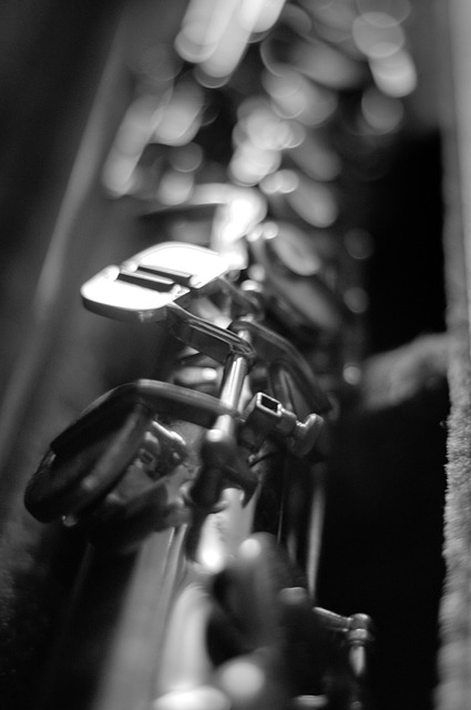 Free Saxophone Instrument photo and picture