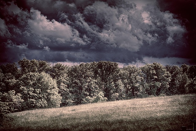 Free Landscape Grim photo and picture