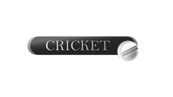 Free Cricket Ball illustration and picture
