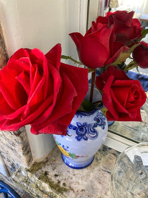 Free Red Roses Vase photo and picture
