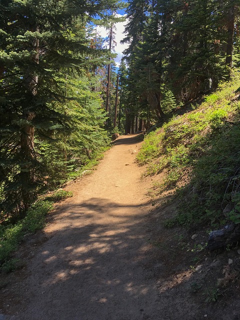 Free Trail Mountain photo and picture
