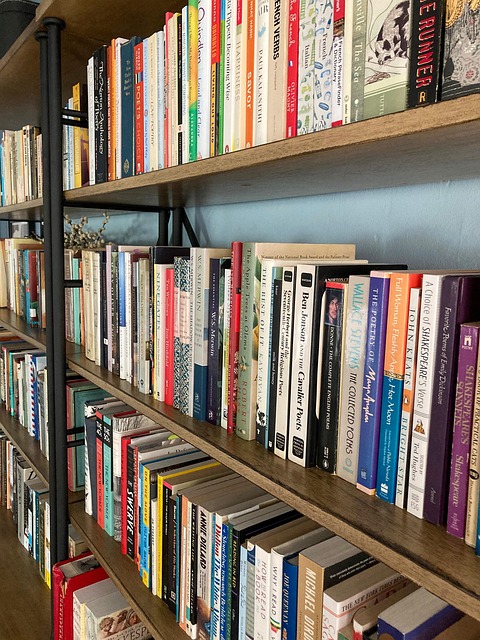 Free Books Shelf photo and picture