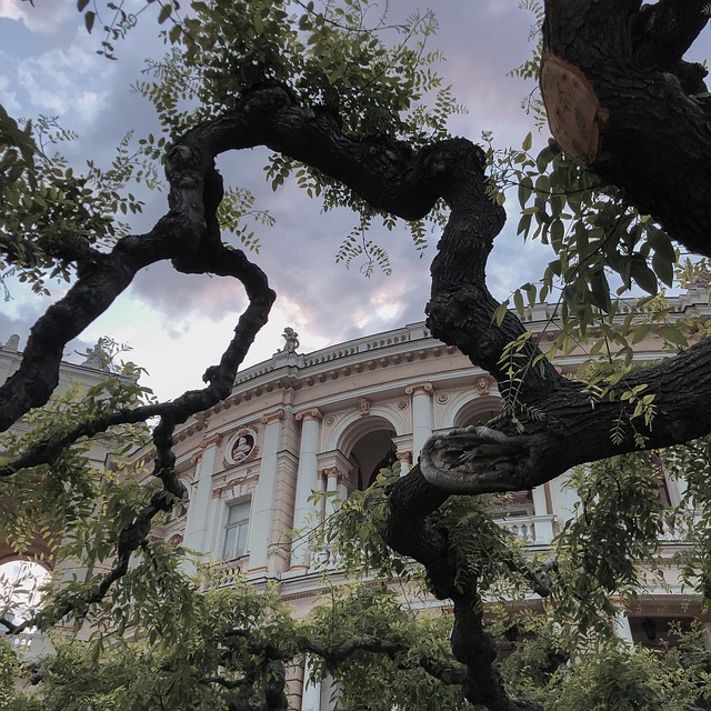 Free Architecture Theatre photo and picture