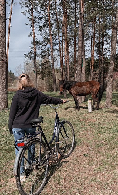 Free Nature Horse photo and picture