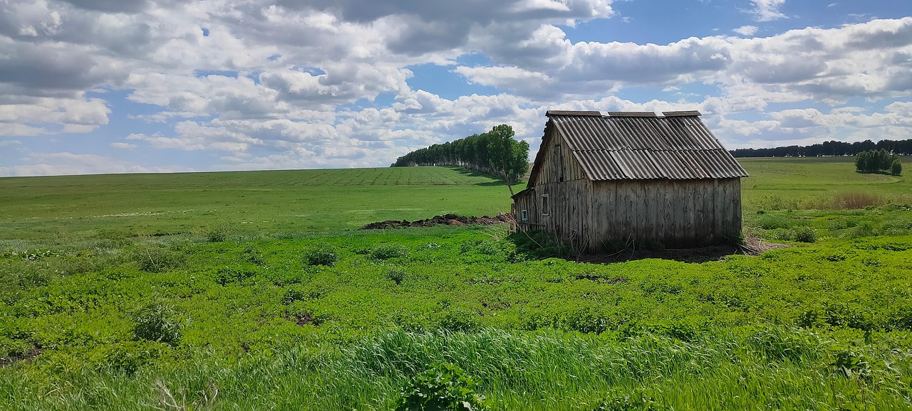Nature House Privacy - Free photo on Pixabay - Pixabay