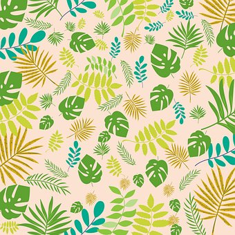 Free Tropical Leaf photo and picture