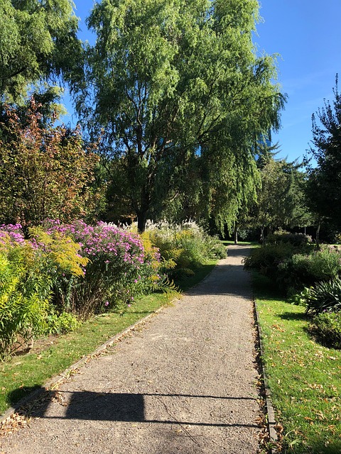 Verduras, Floración, Jardín, Naturaleza