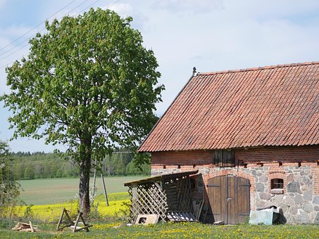 Dorf, Kornhaus, Himmel, Bäume, Natur